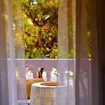 Aparthotel Venice Lion Residence Free Private Parking Easy Access Venice Mestre