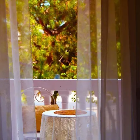 Apart Otel Venice Lion Free Private Parking Easy Access Venice Mestre